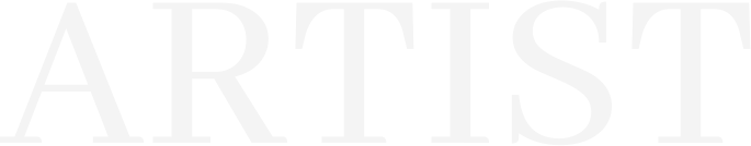 About Artist artist text